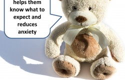 bear quotes routine Ten-minute Toddler Turnaround parenting sleep